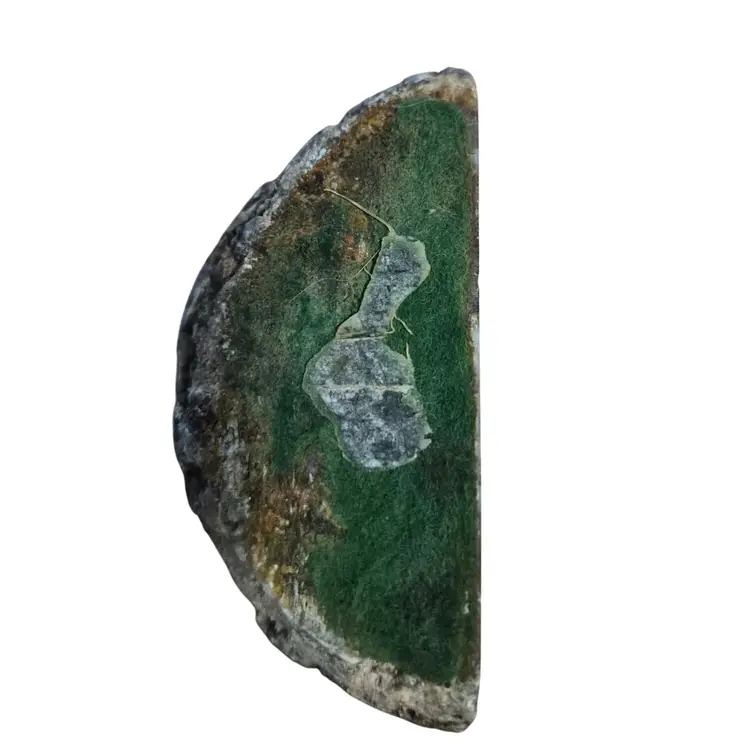 Natural Agate Geode Half With Crystal Centerpiece Felted Bottom