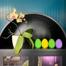 Egg-cellent Giveaway #4