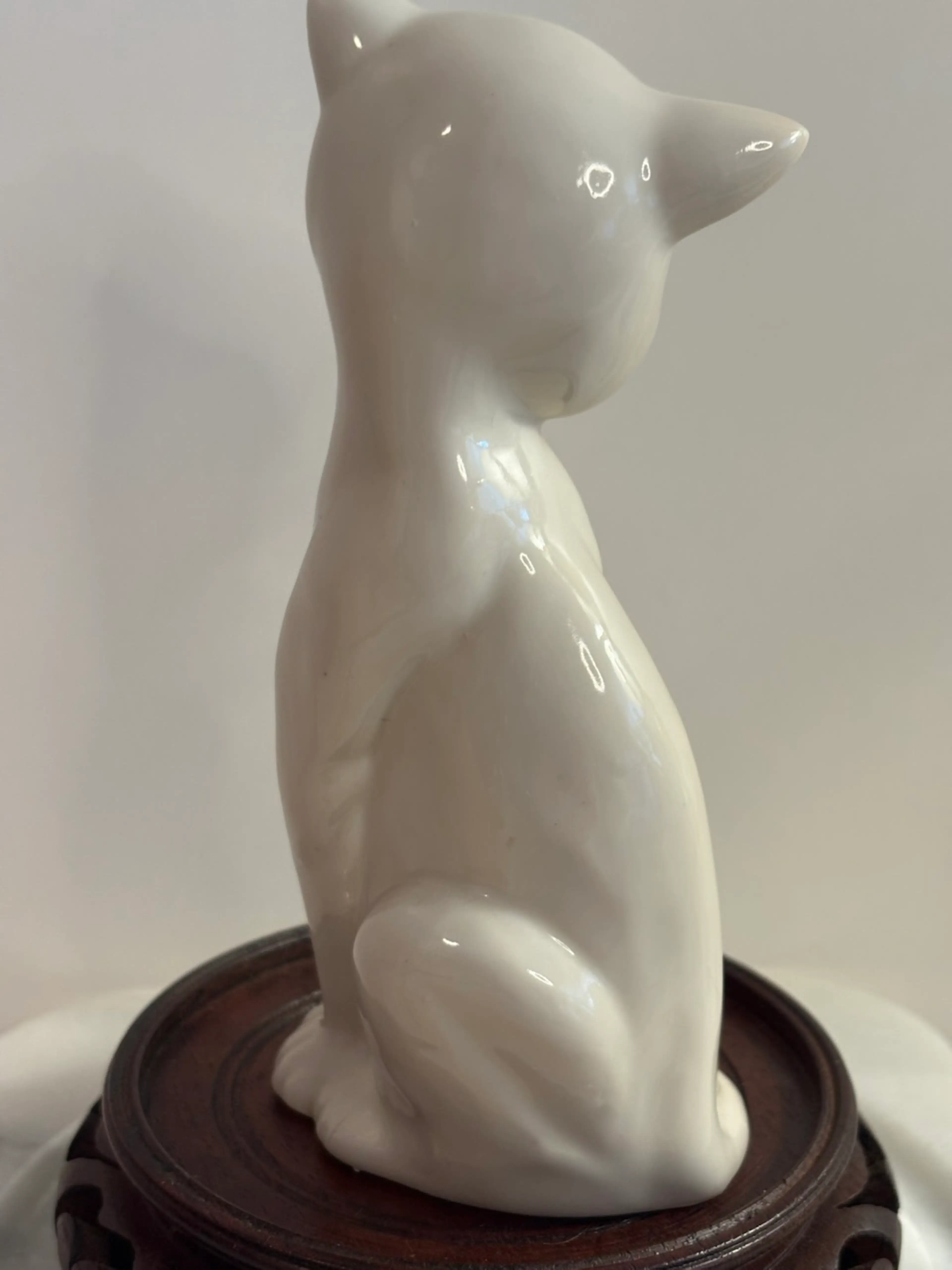 Image 5 of 7