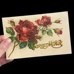 Antique Postcard Roses With “Forget Me Not” Gold Metal Accent, Antique Ephemera