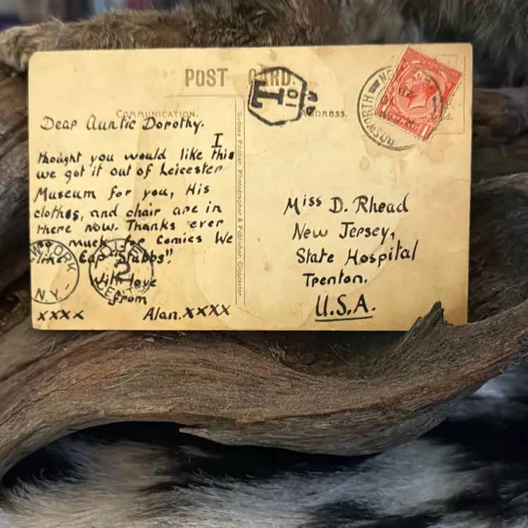 Antique Oddity Post Card Free Shipping