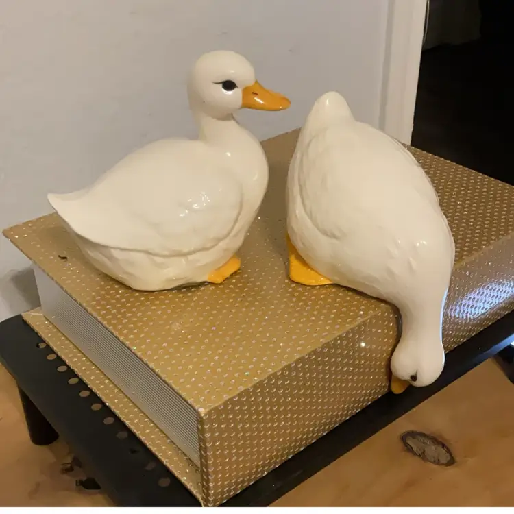 Ceramic Duck Set