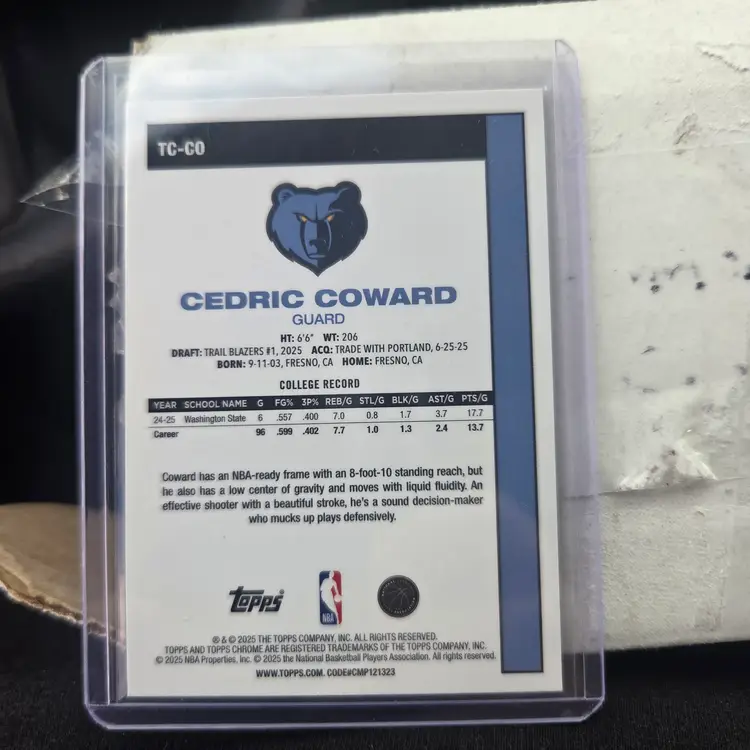 Memphis Grizzlies Cedric coward