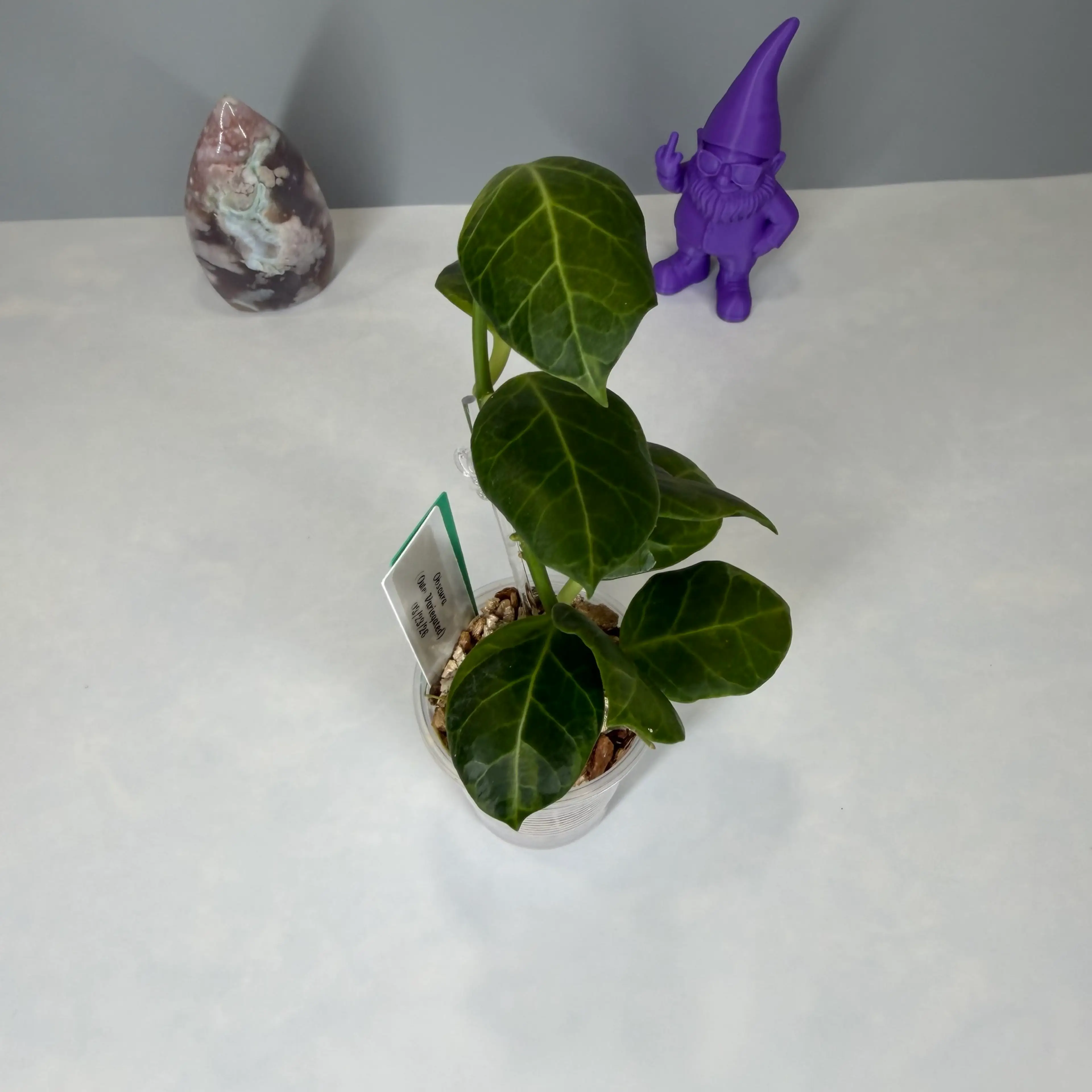 Image 3 of 3