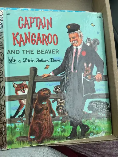 Auction/GW Bins Haul & A Leprechaun Story