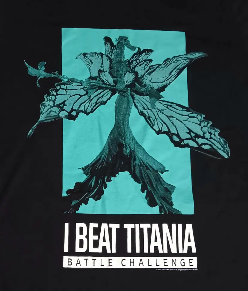 I Beat Titania Final Fantasy 14 XIV t-shirt Battle Challenge video game XBOX