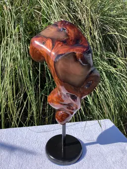 Organic Redwood Driftwood Sculpture