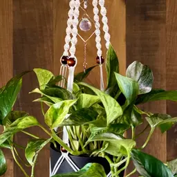 Outdoor Plant Hanger - Water Resistant