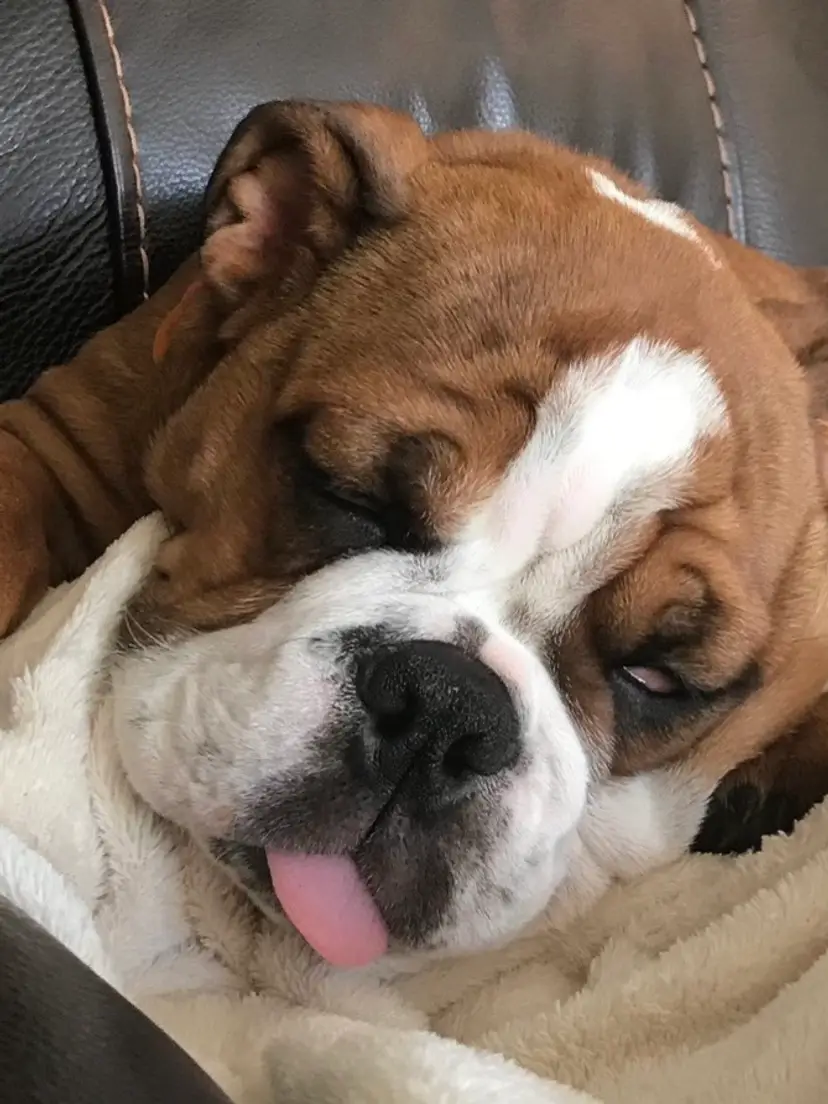 Livestream thumbnail