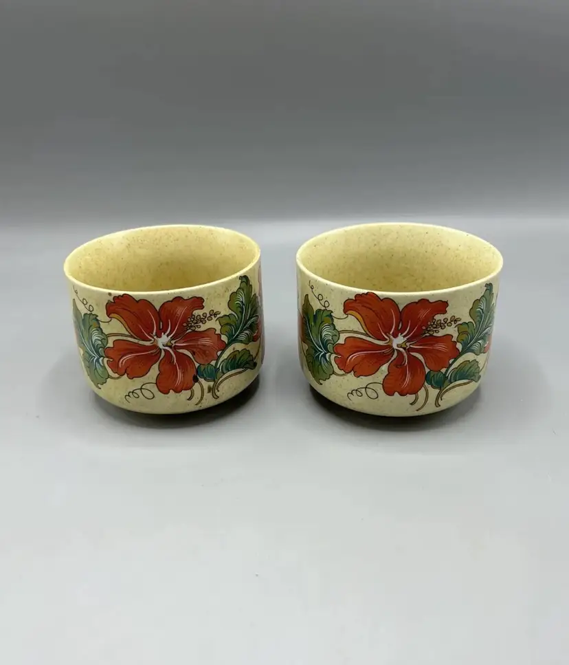 Vintage 1960s Set Of 2 Weidmann Porzellan Prodotto Italiano Floral Mug