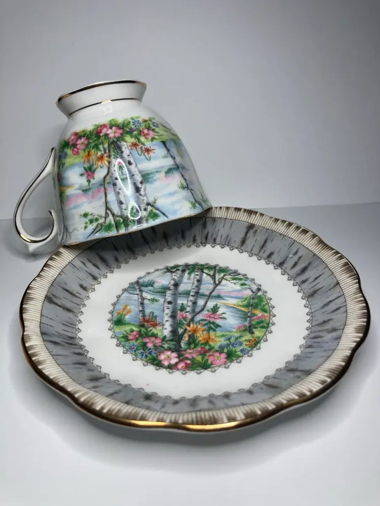 Royal Albert Silver Birch Teacup And Saucer