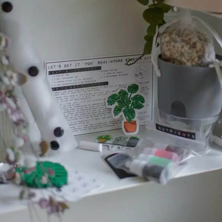 Let's Get It 'pon' Starter Kit