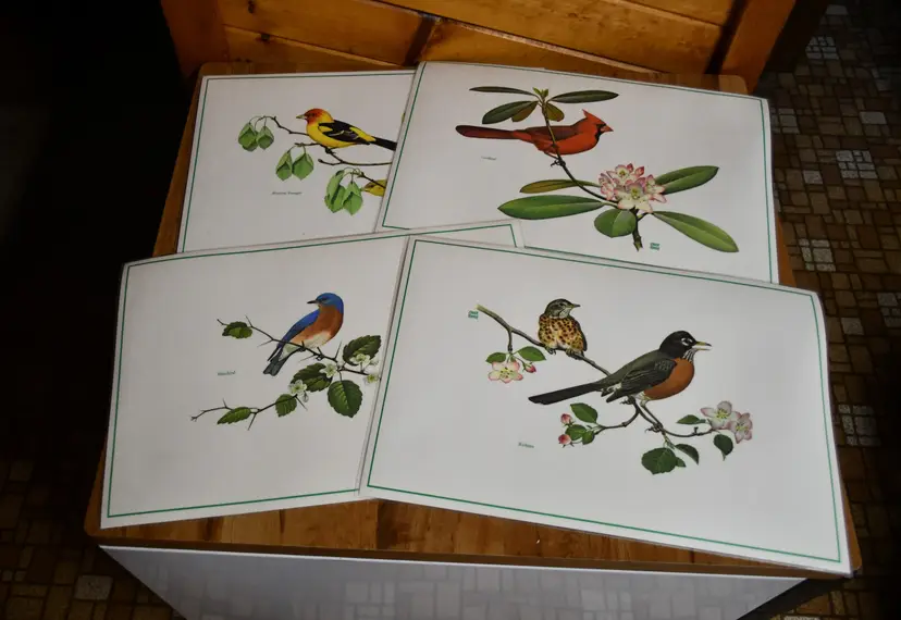 Vintage 1970's Lot Of Four Chuck Ripper Double Sided Bird Rubberlike Placemats