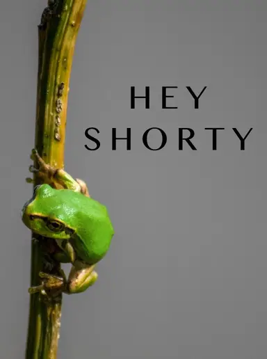 All Smalls - Part ✌️ 🎉 2 For $5