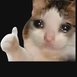 #20 - Free Shipping 1 Item (No Bags)