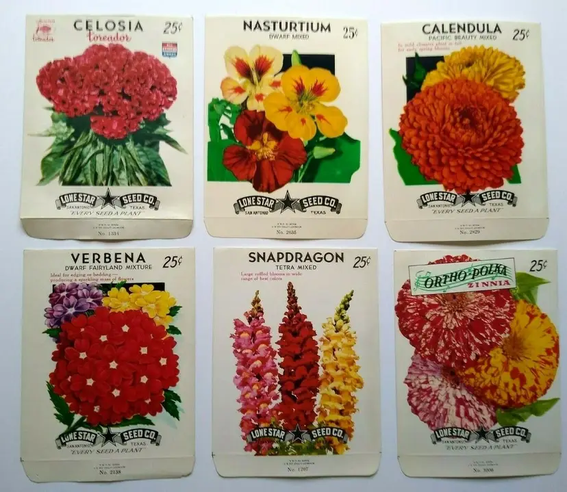 EMPTY Vintage Flower Seed Packs Lot Of 6 Celosia Snapdragon Caledula Verbena