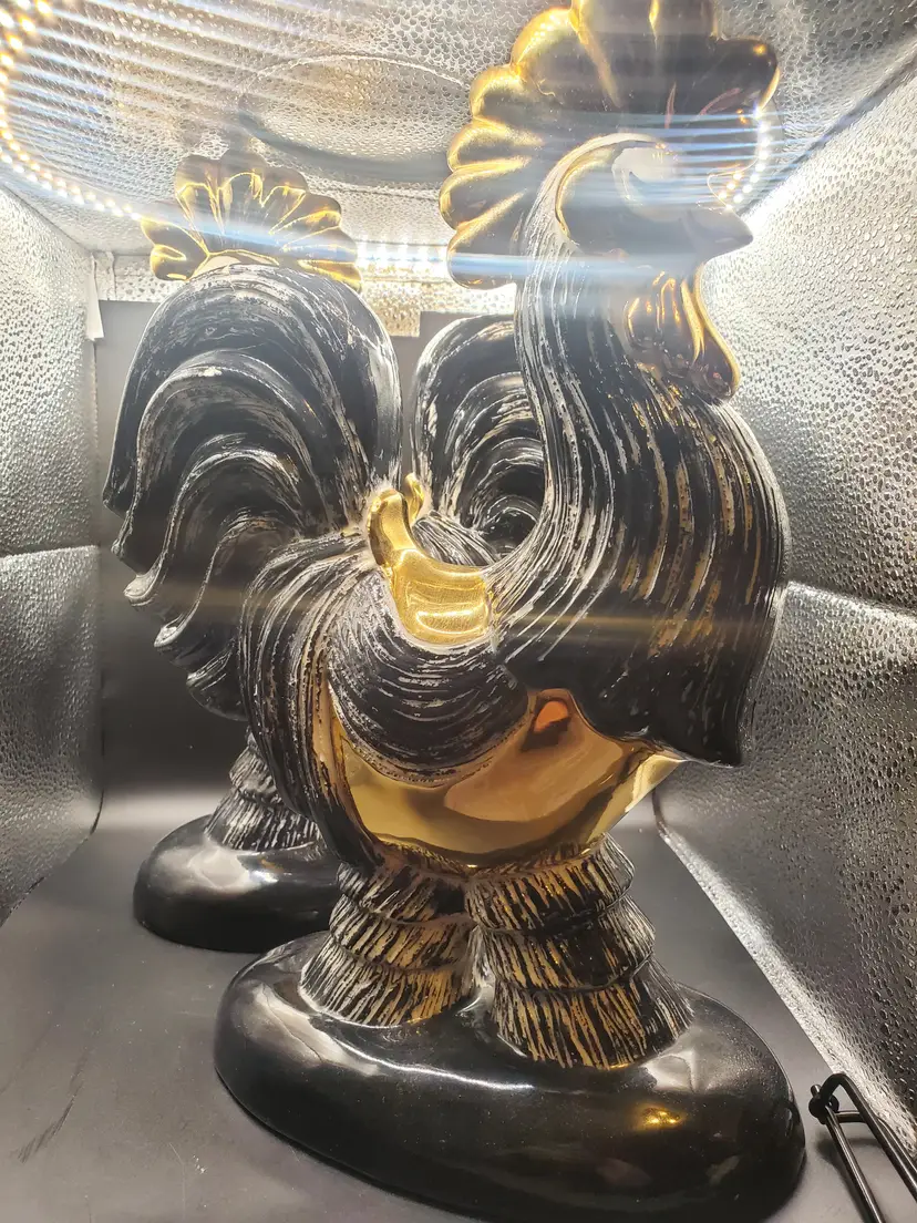 Hedi Schoop Roosters Planter Set