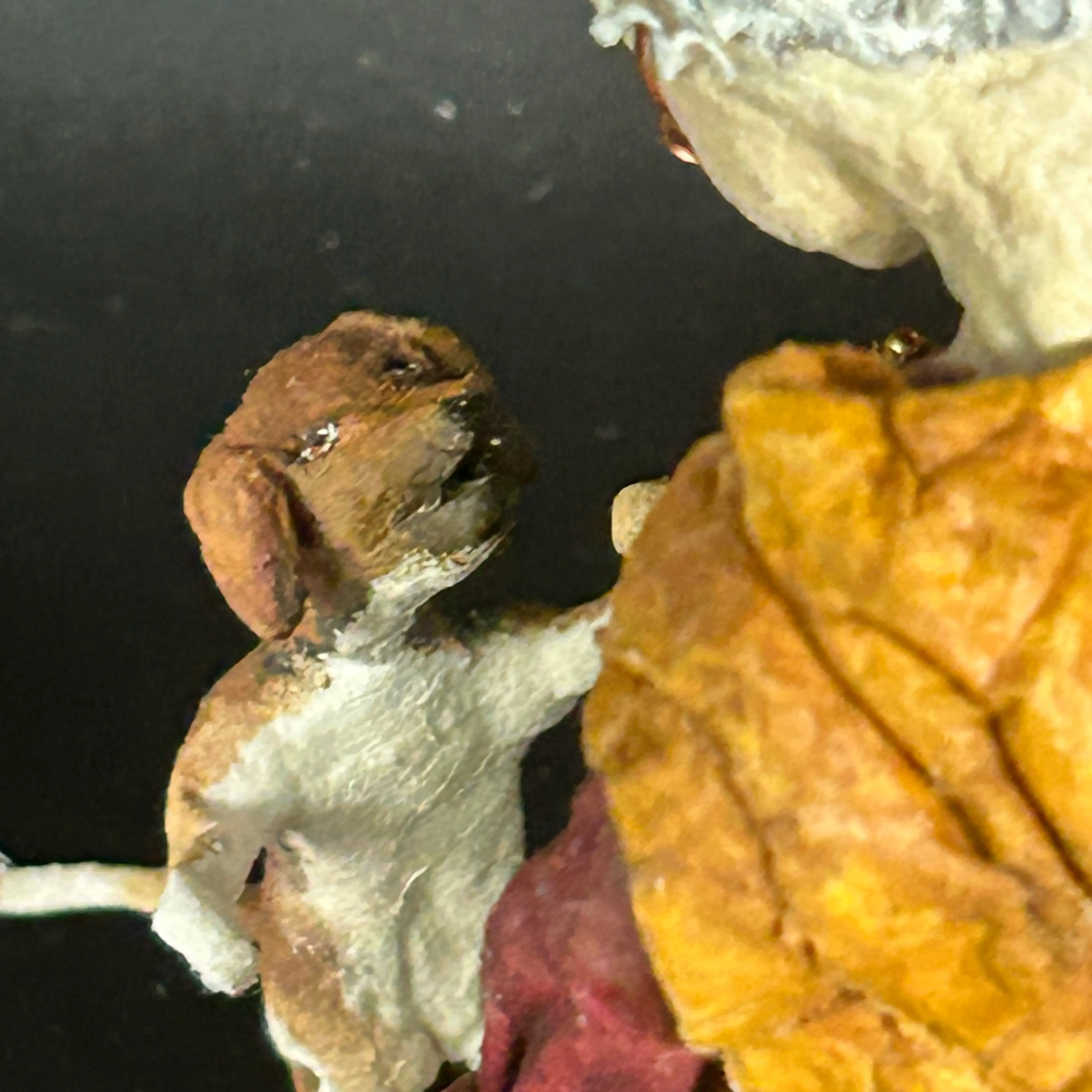 Image 4 of 9
