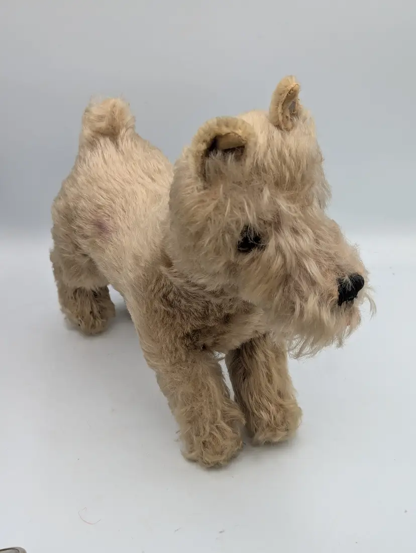 VINTAGE STEIFF SCHNAUZER TERRIER DOG ~ GLASS EYES MOVABLE HEAD