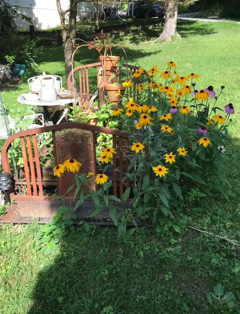 Livestream thumbnail