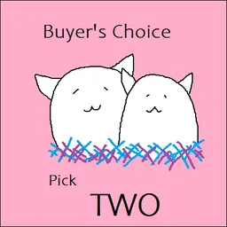 09 - Buyer's Choice Pick 2