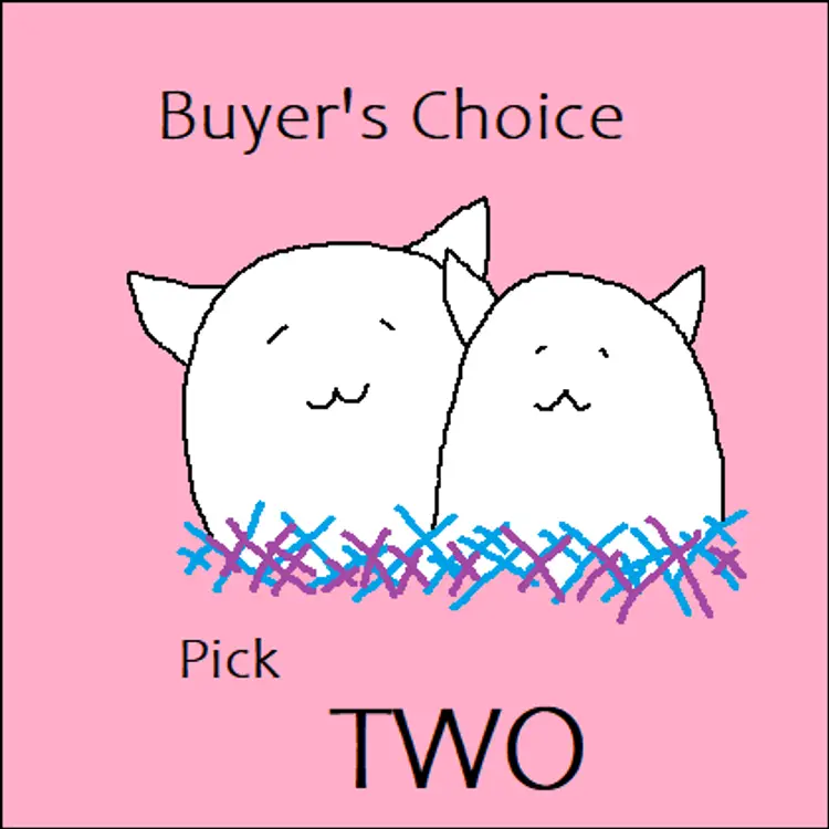 09 - Buyer's Choice Pick 2