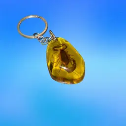 Real Scorpion Resin/amber Keychain