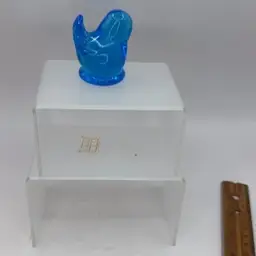 Leo Ward 1993 Bluebird 2”