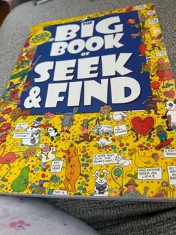 # seek & find book
