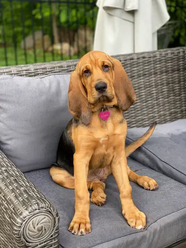 Jada • mid2modtreasures