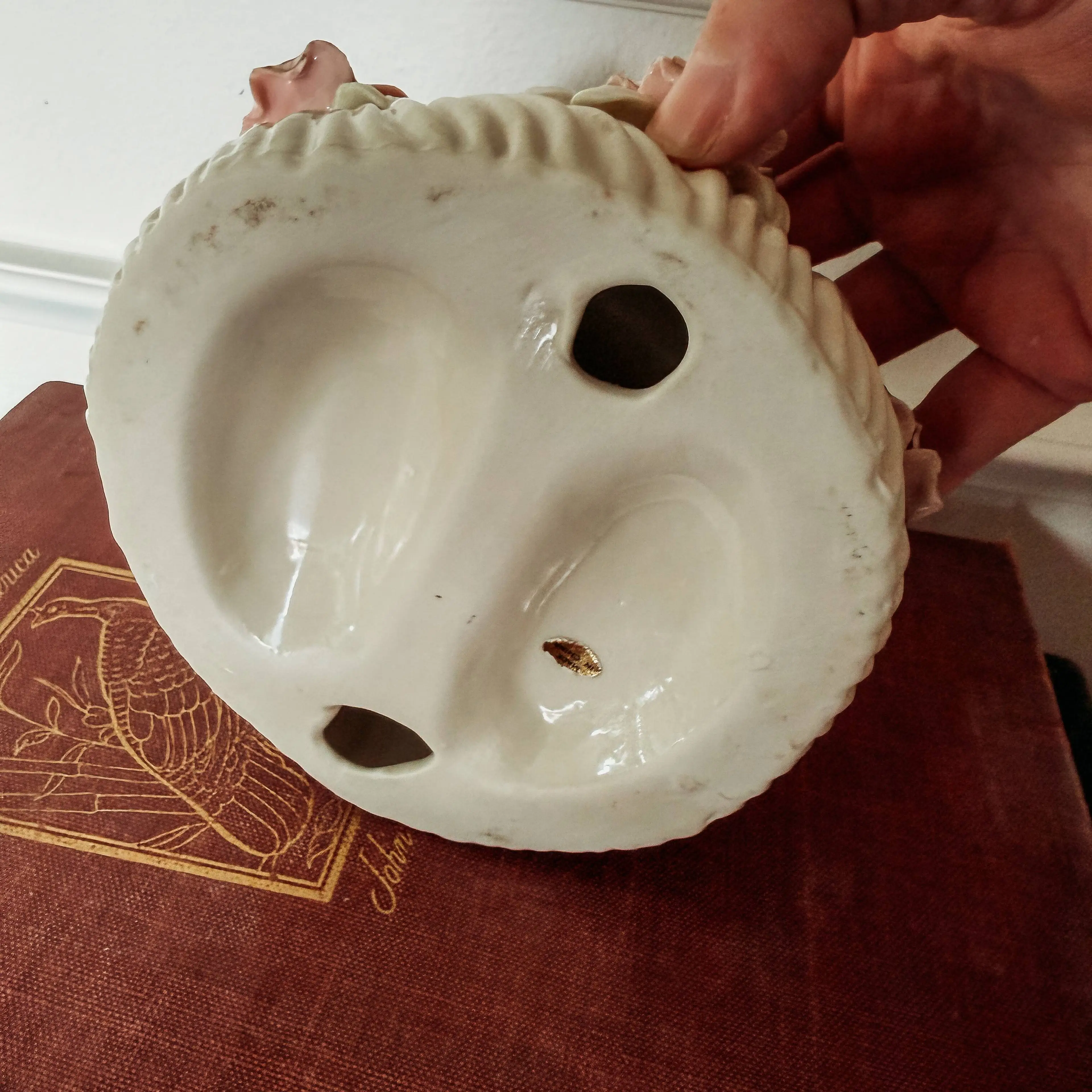 Image 4 of 5