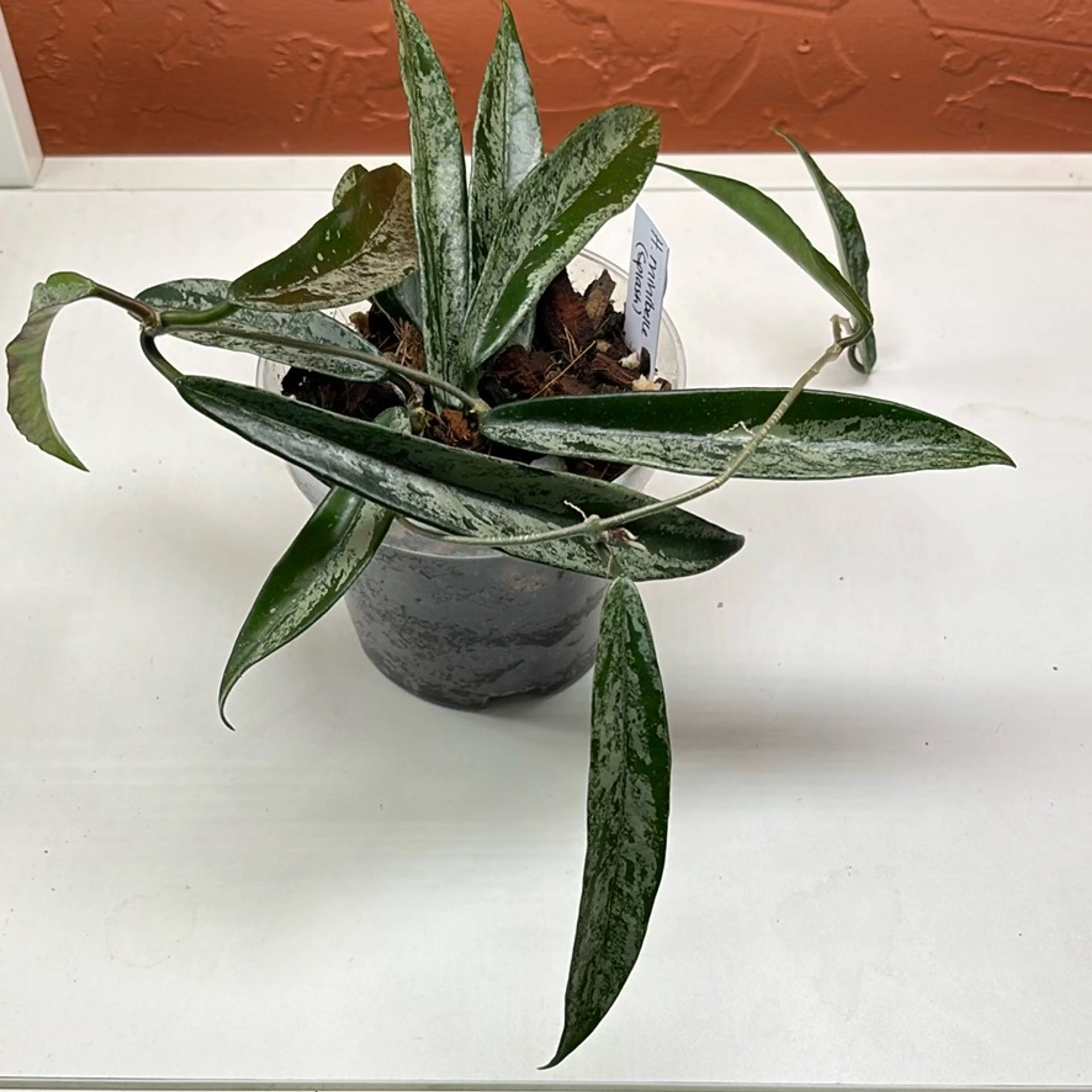 Image 3 of 4