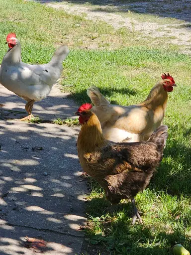 Join me for jewelry, glass pottery and candles