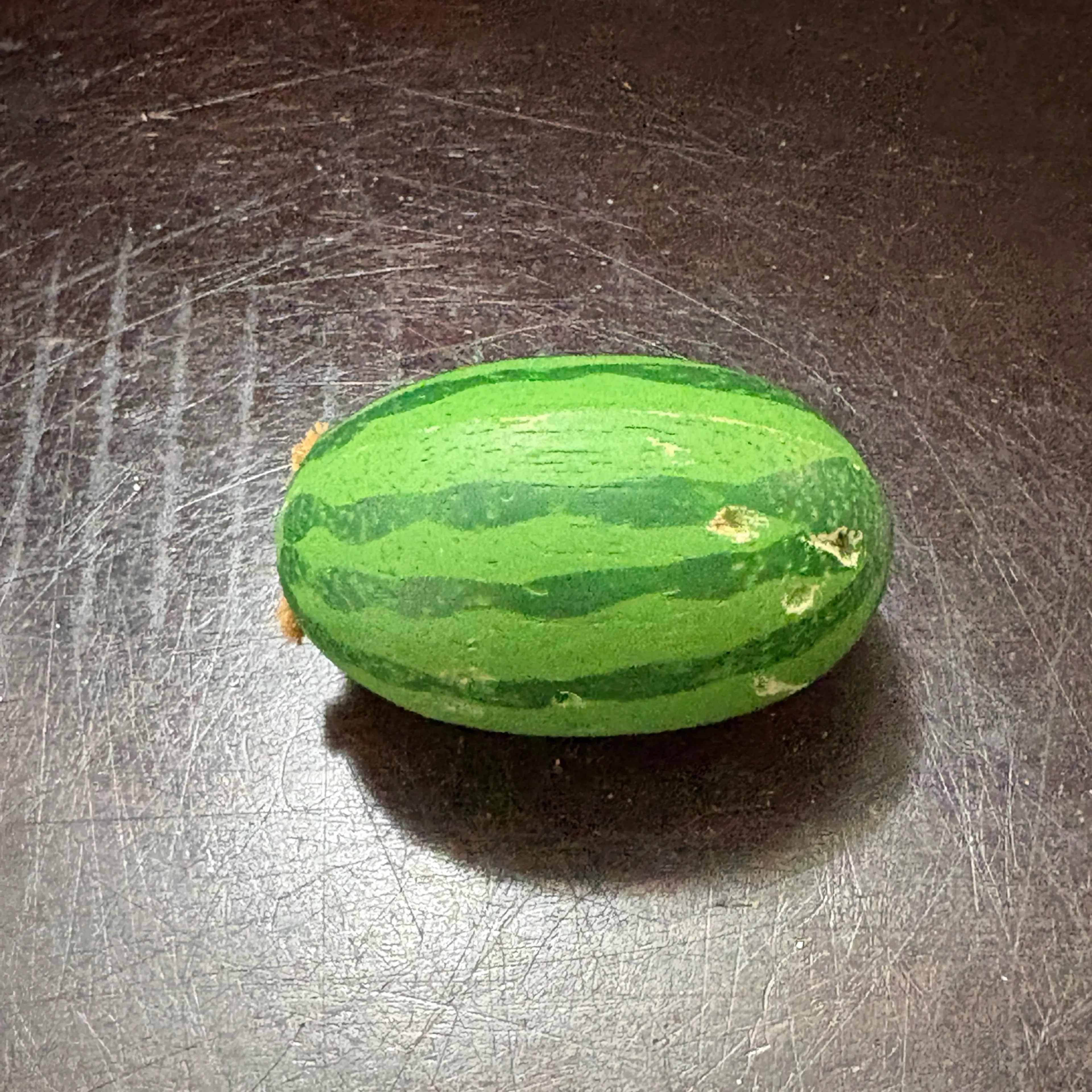Image 3 of 5