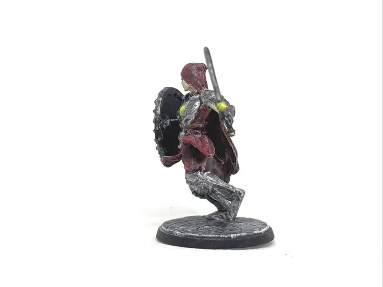 Elite Knight Guard Ghostslayer NPC Dungeons Dragons DnD LoTR Hand Painted