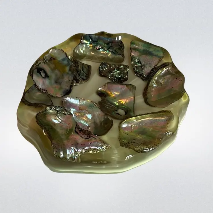 Vintage Abalone In Resin Soap Or Trinket Dish