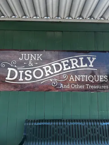 ✨Live at Junk & Disorderly Antique Store✨