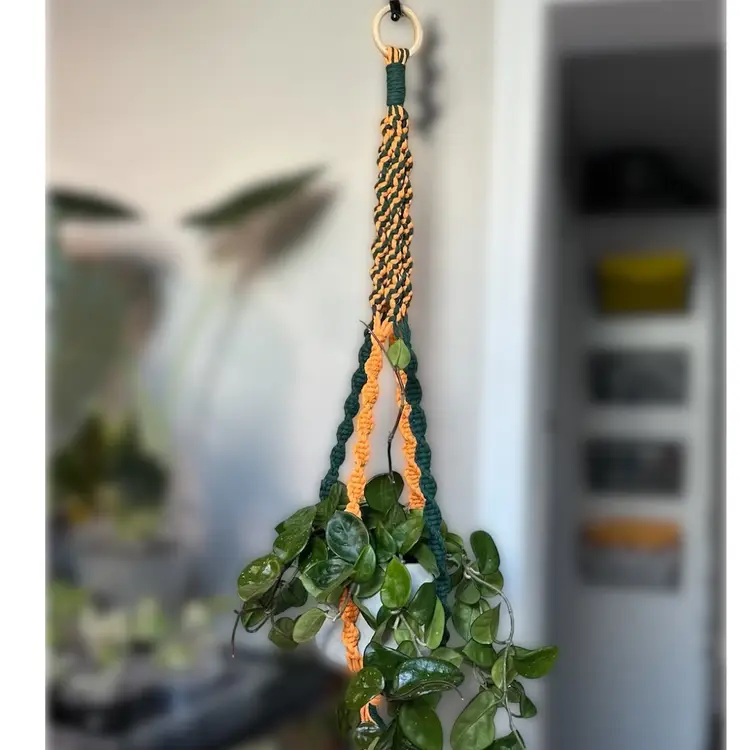 #01 Choose Your Color Macrame Plant Hanger!