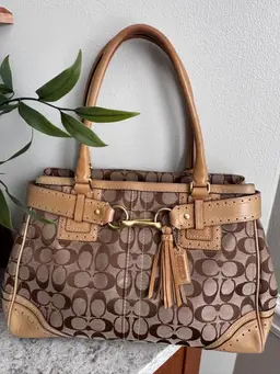 Coach Hampton Satchel