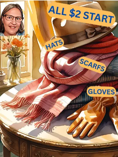 ACCESSORIES, SCARFS, HATS, GLOVES ALL $2 START