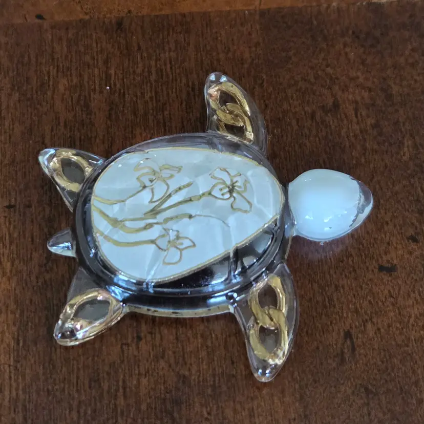 Lily 🏵 "Treasure Turtles"