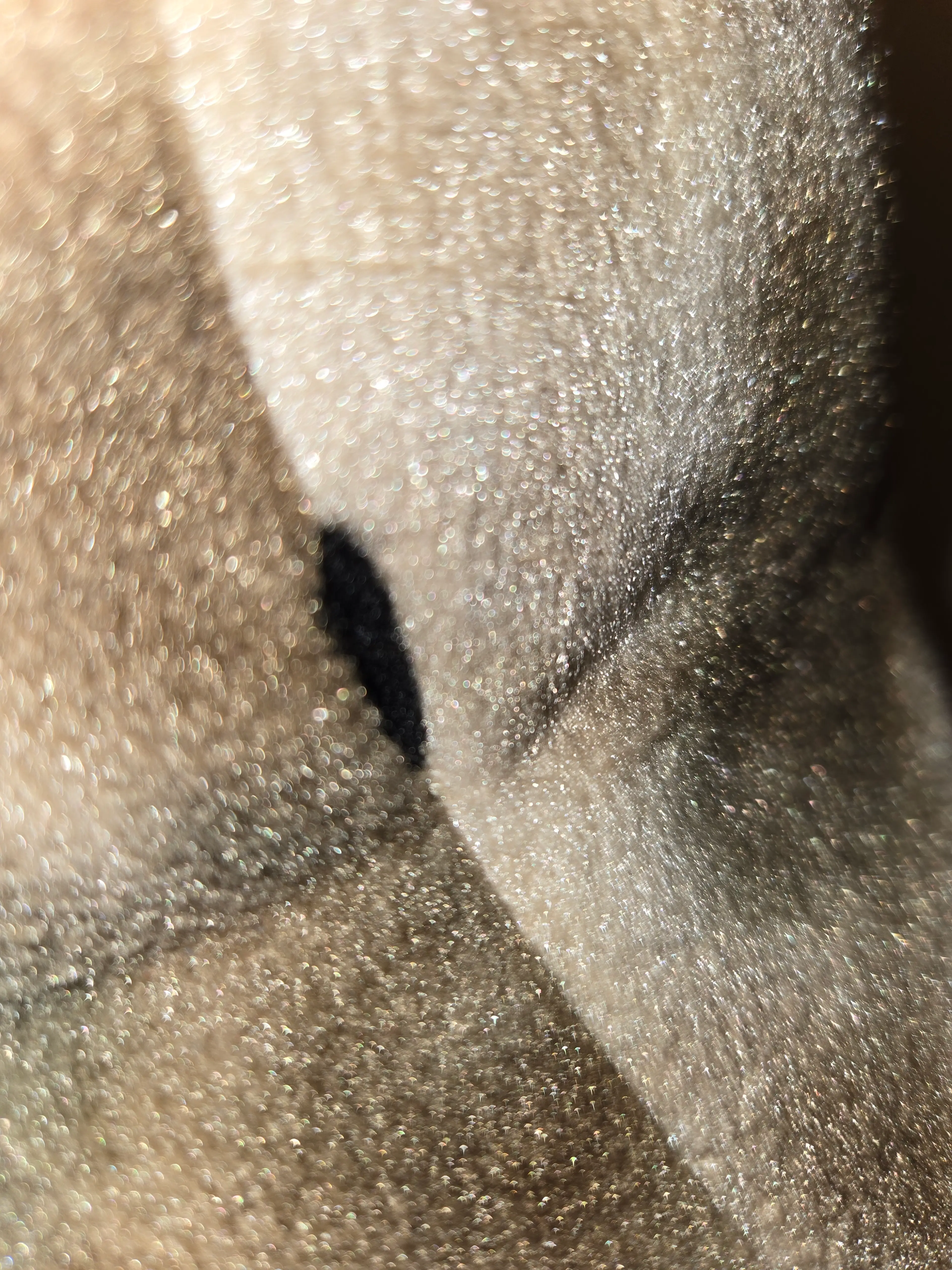 Image 5 of 10