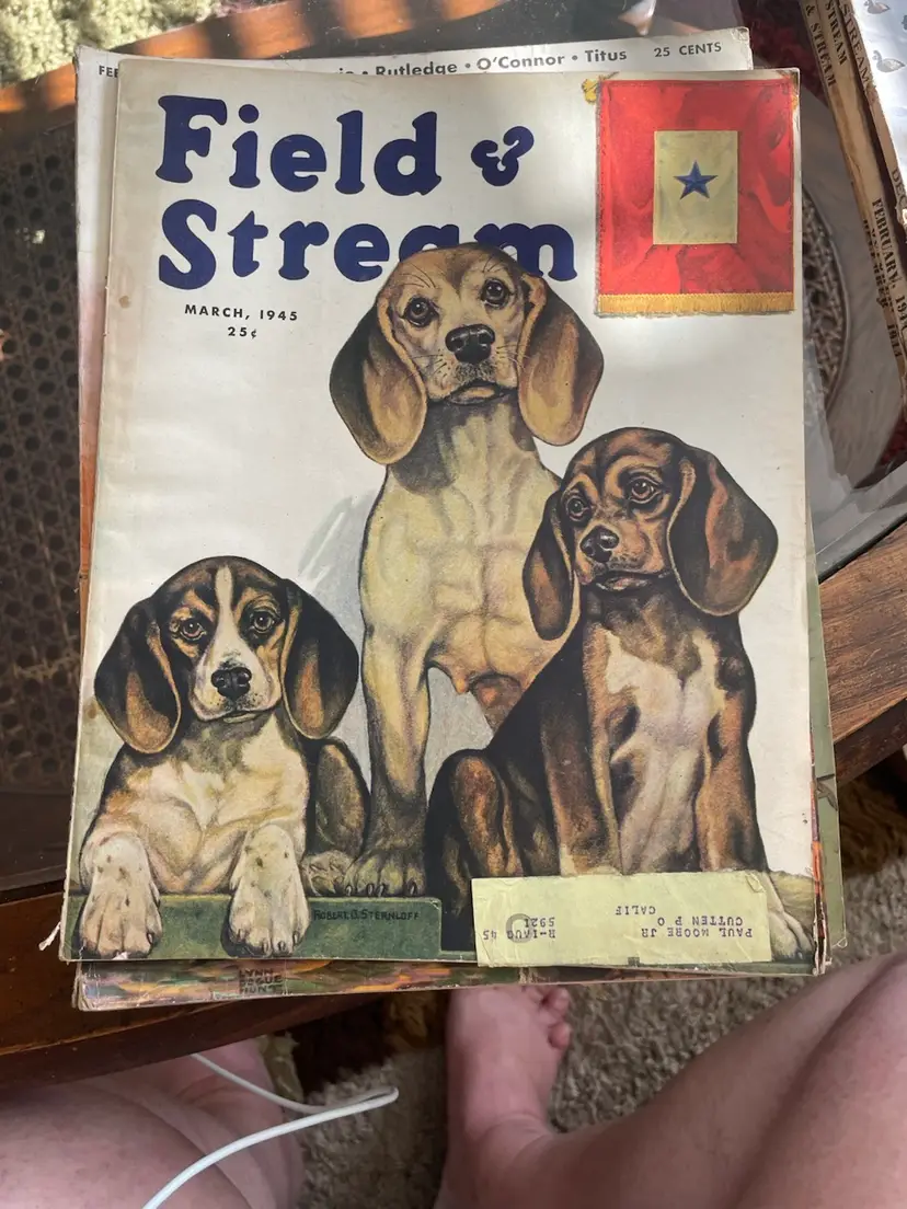 Field & Stream March 1945 Issue Cover Painting By Robert G. Sternloff