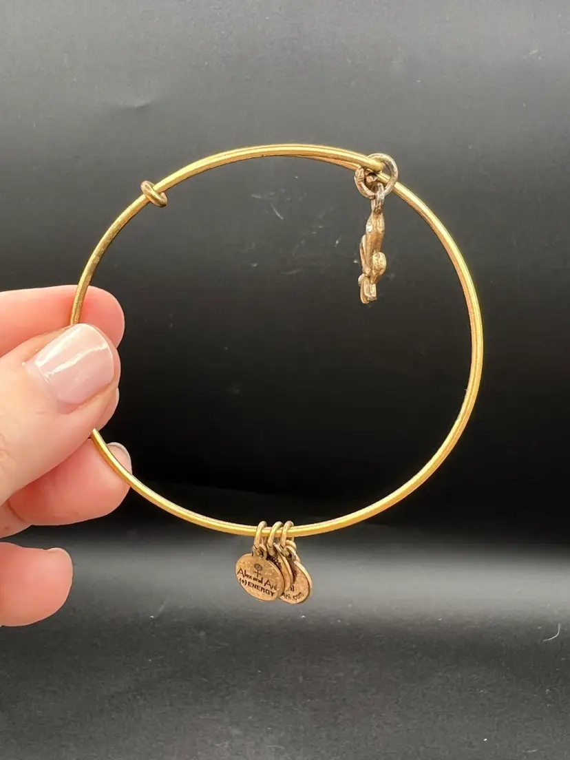 Alex And Ani Charm Bracelet