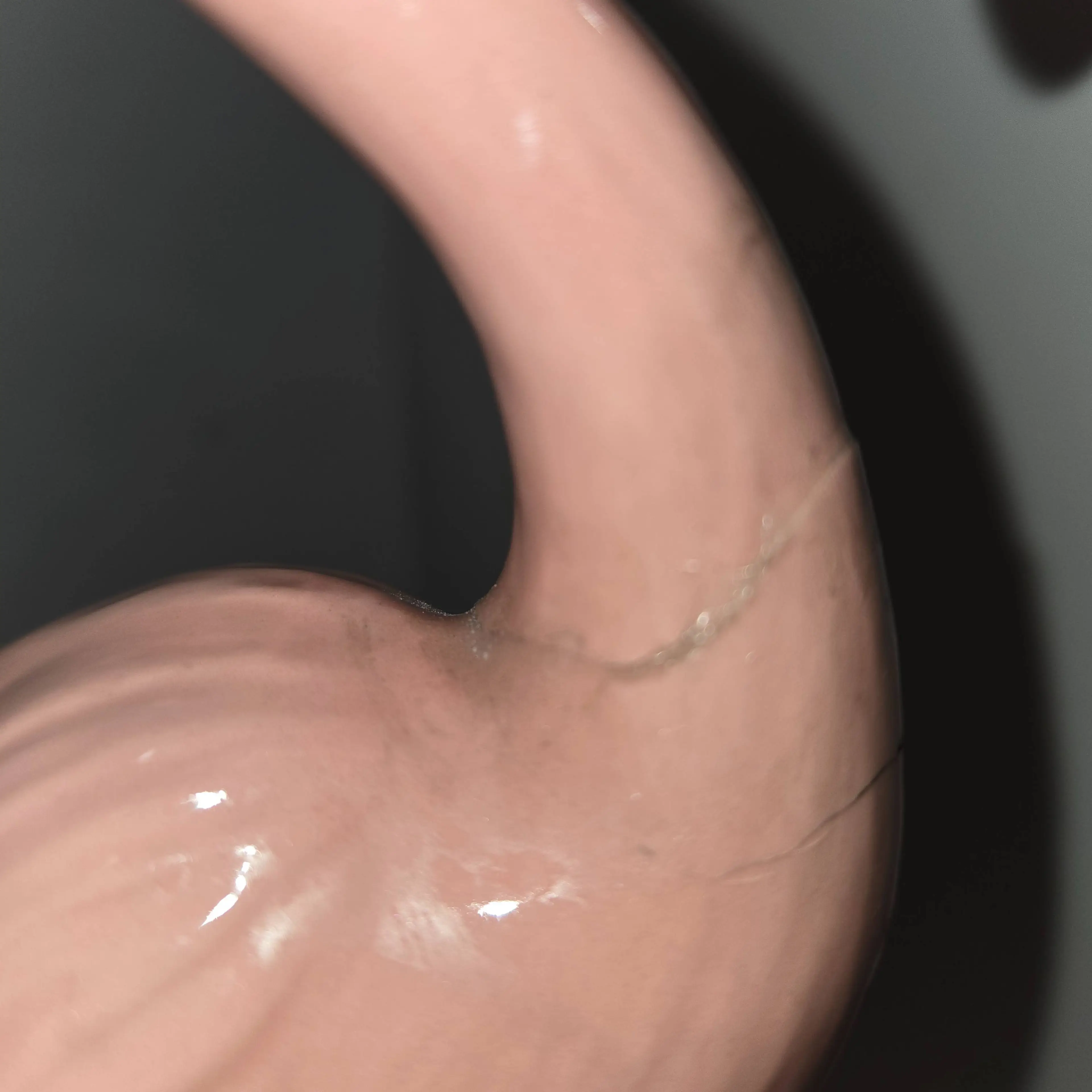 Image 4 of 5