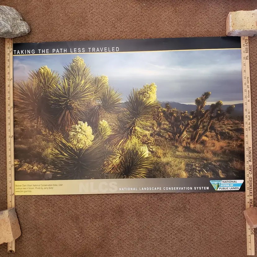 Beaver Dam Wash BLM Souvenir Poster National Landscape Conservation System