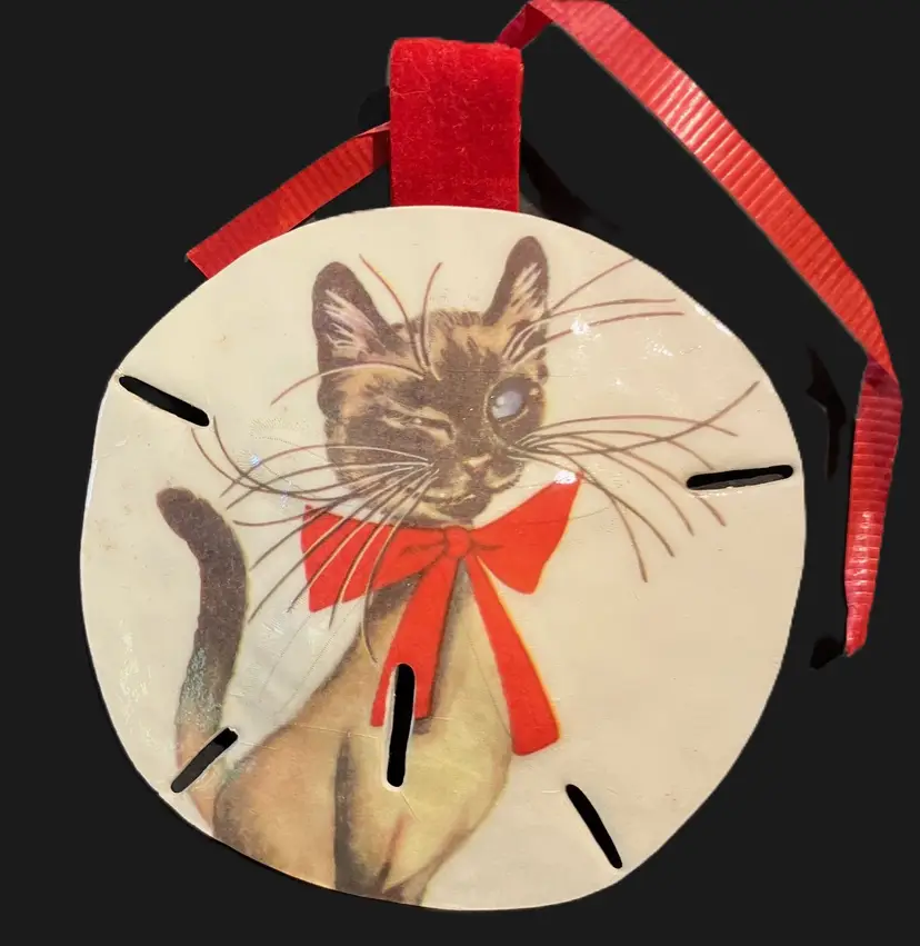 Cat with red bow on a sand dollar ornament
