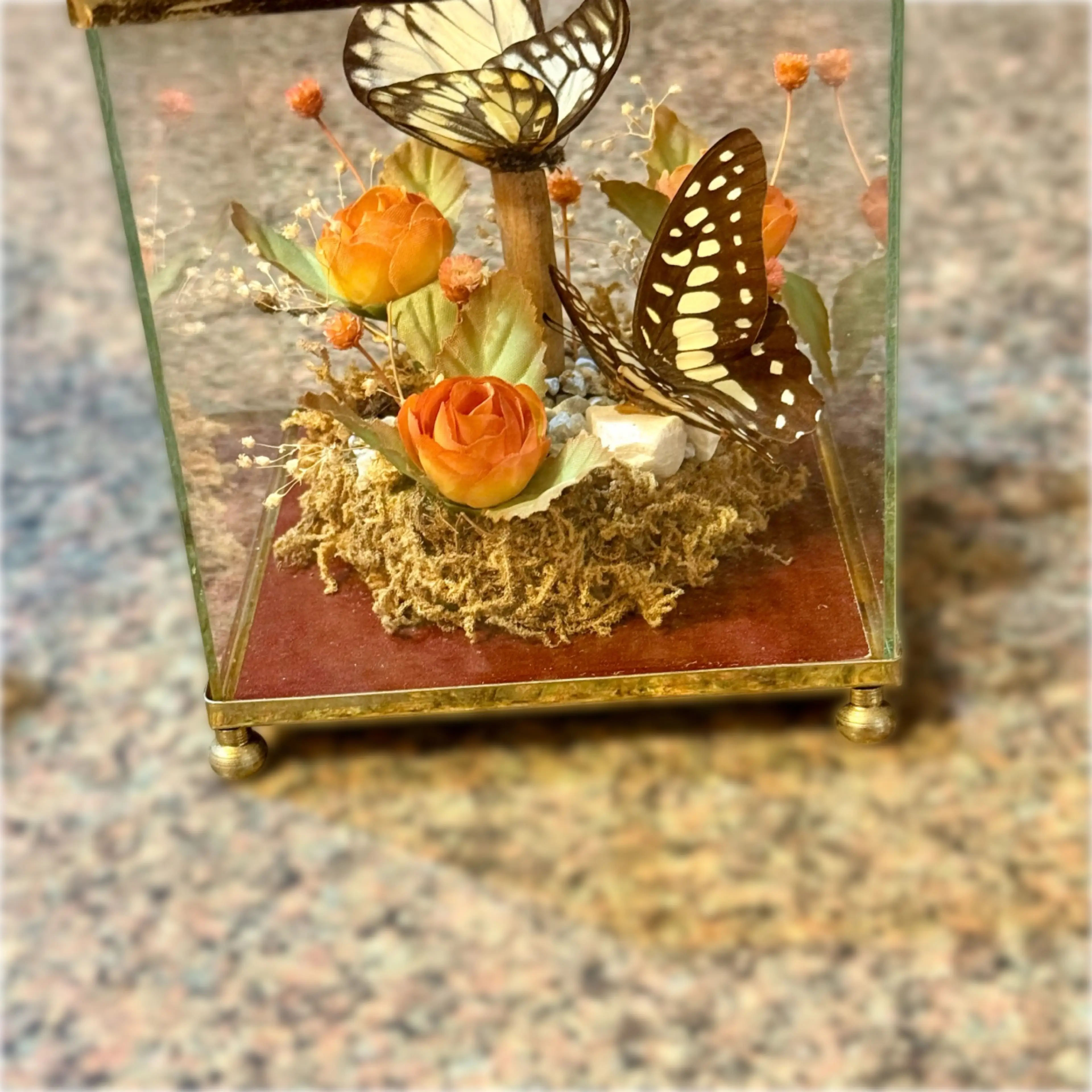 Image 3 of 9