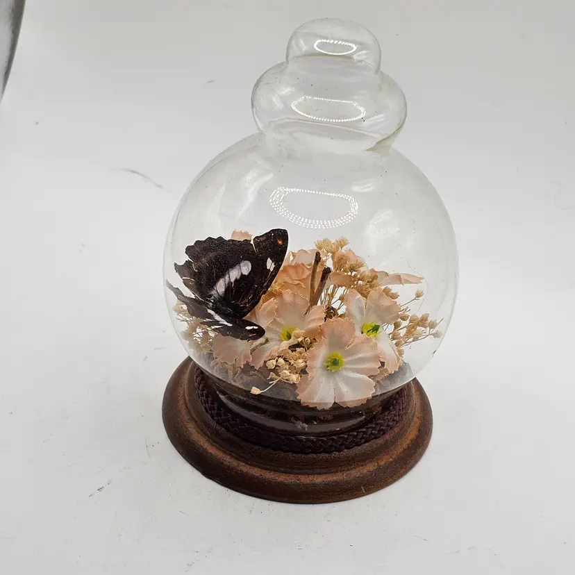 Vintage Domed Glass Butterfly Floral Terranium  Taiwan