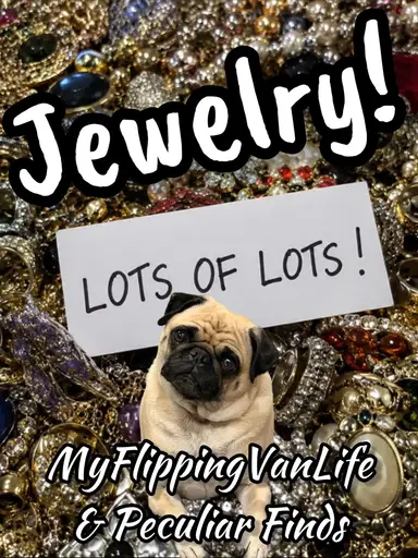 Lots Of Lots with MyFlippingVanLife